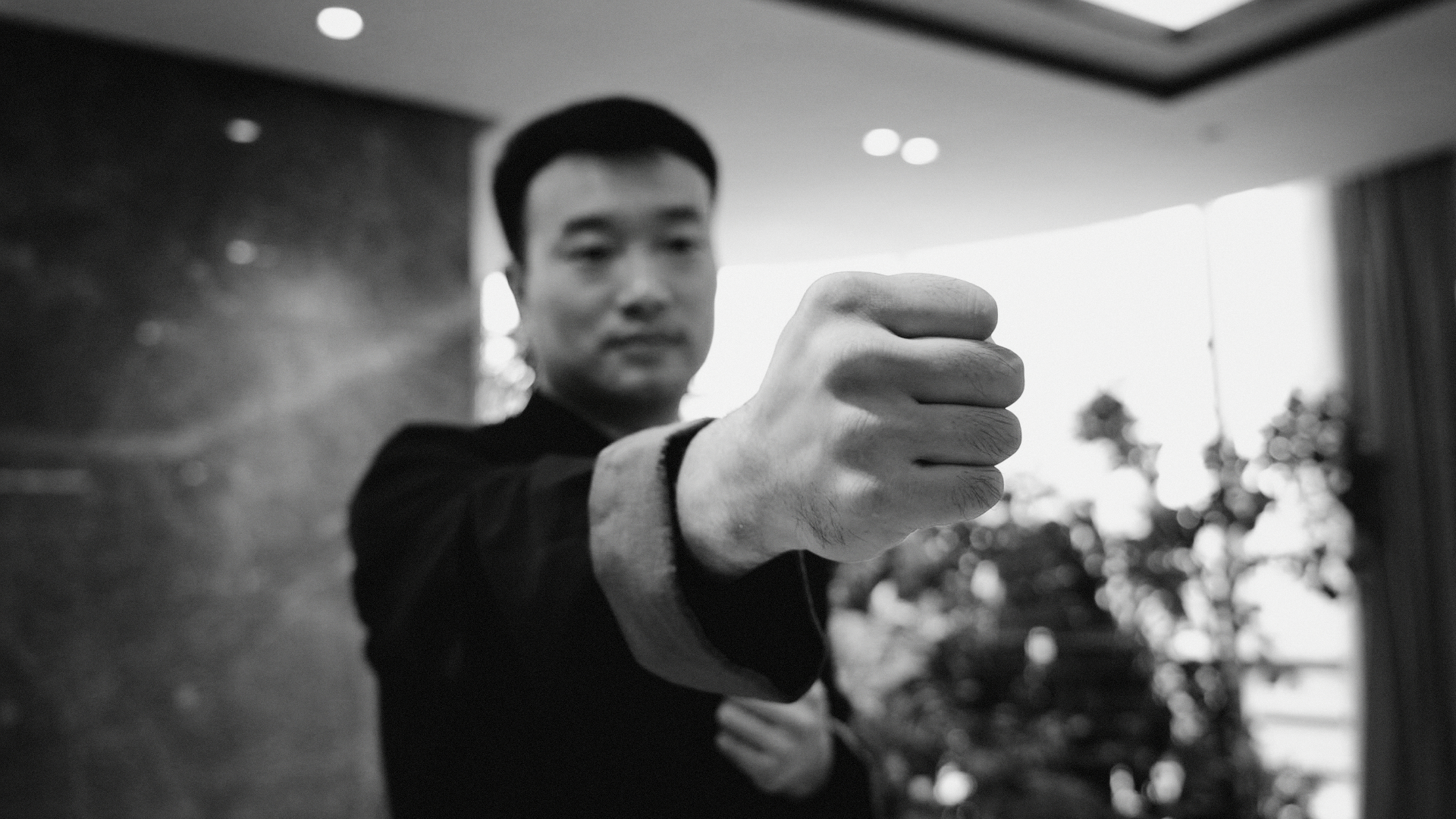 张方远师父示范拳势细节