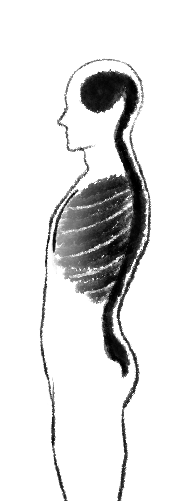 人体中轴气机水墨示意图